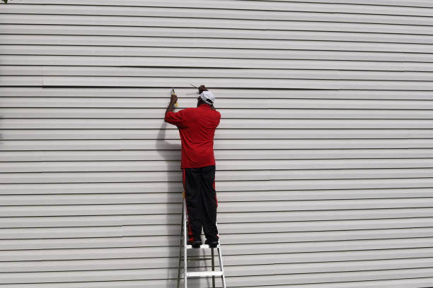 Best Siding Repair  in Osgood, IN